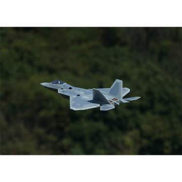 Xfly F-22 Twin 40mm EDF Jet - PNP